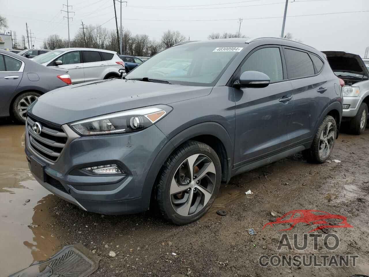 HYUNDAI TUCSON 2016 - KM8J33A23GU225069