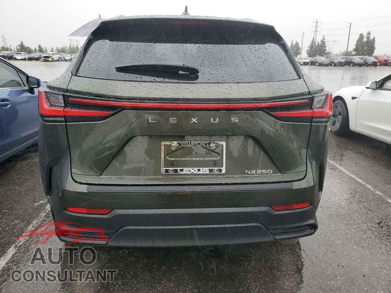 LEXUS NX 250 BAS 2024 - 2T2ADCAZ2RC009885
