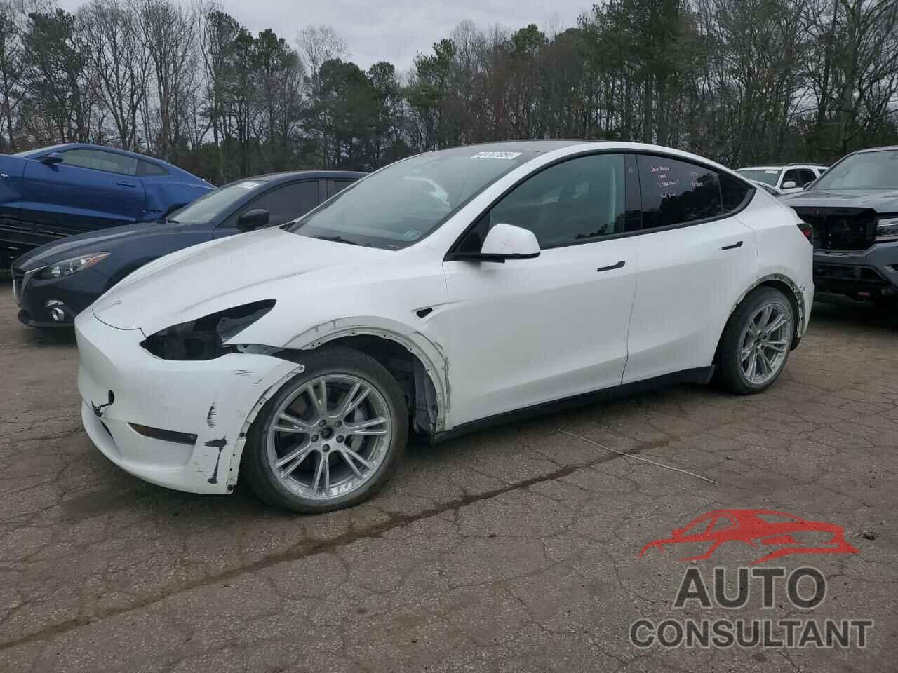 TESLA MODEL Y 2021 - 5YJYGDEE7MF249834