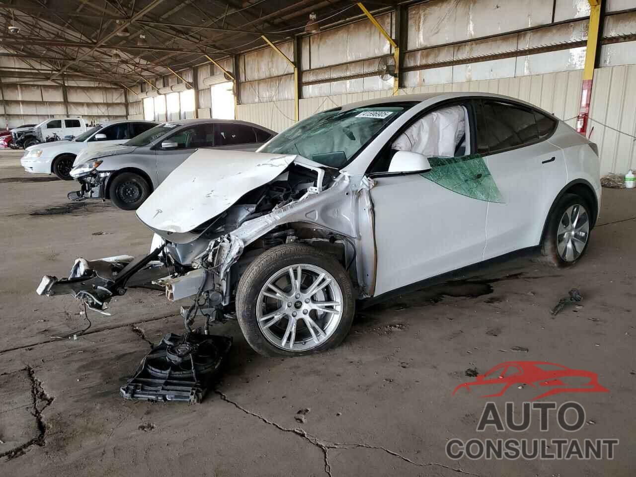 TESLA MODEL Y 2021 - 5YJYGDEE3MF271183