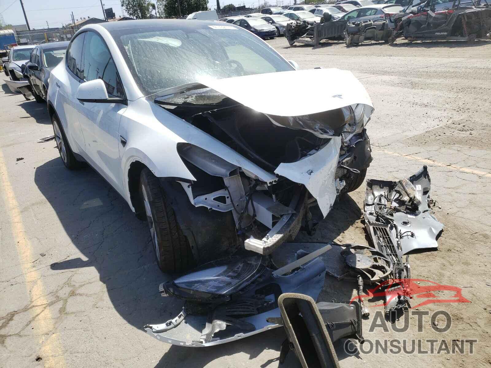 TESLA MODEL Y 2021 - 5YJYGDEE6MF160935
