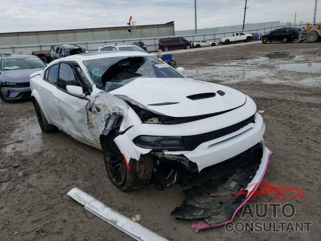 DODGE CHARGER 2020 - 2C3CDXL94LH251273