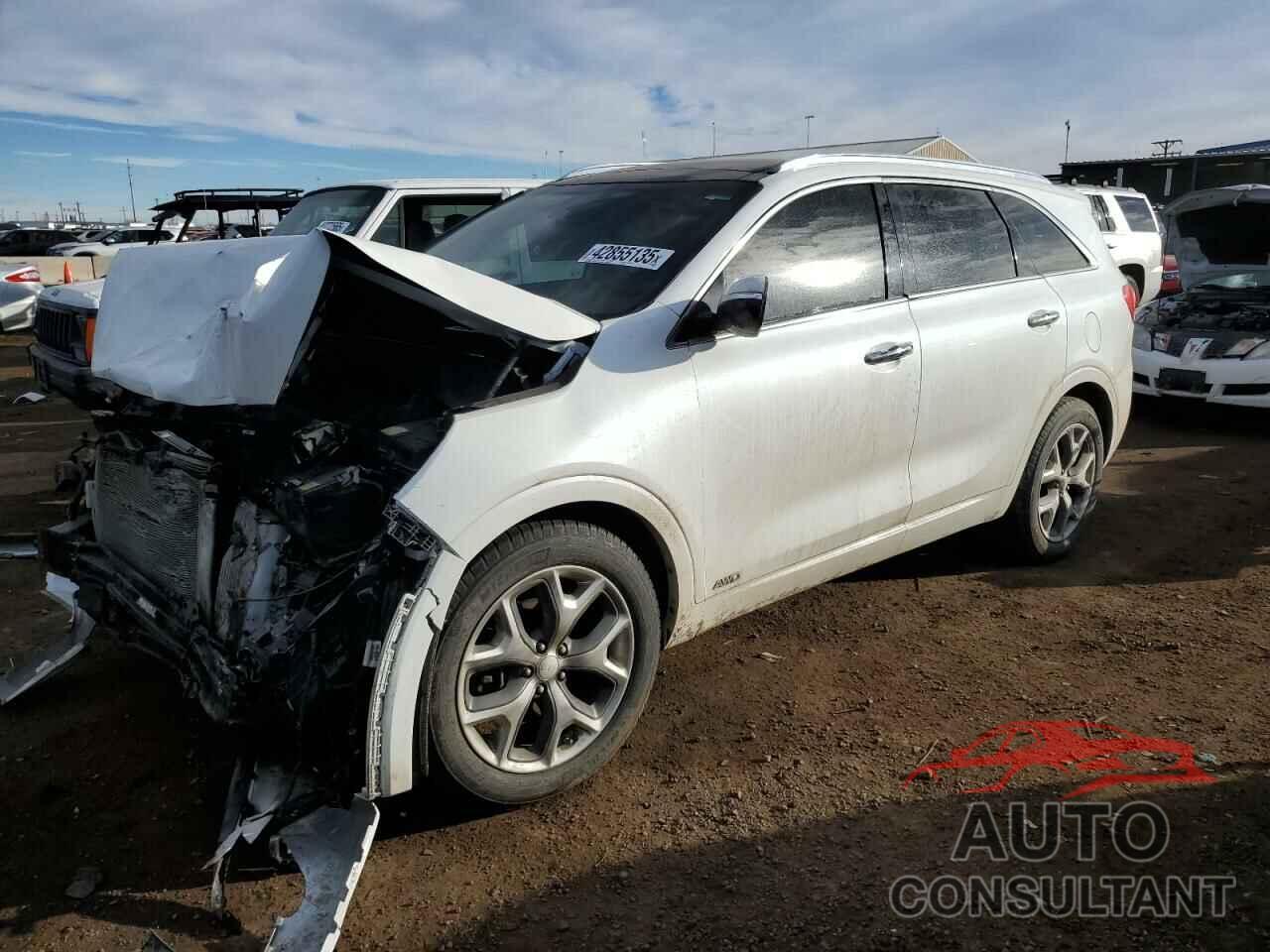 KIA SORENTO 2016 - 5XYPKDA19GG107916