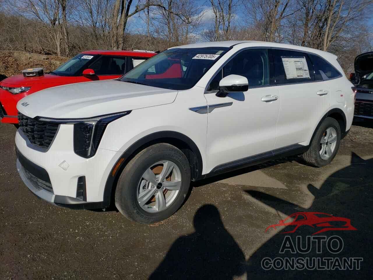 KIA SORENTO 2024 - 5XYRG4JC2RG305753