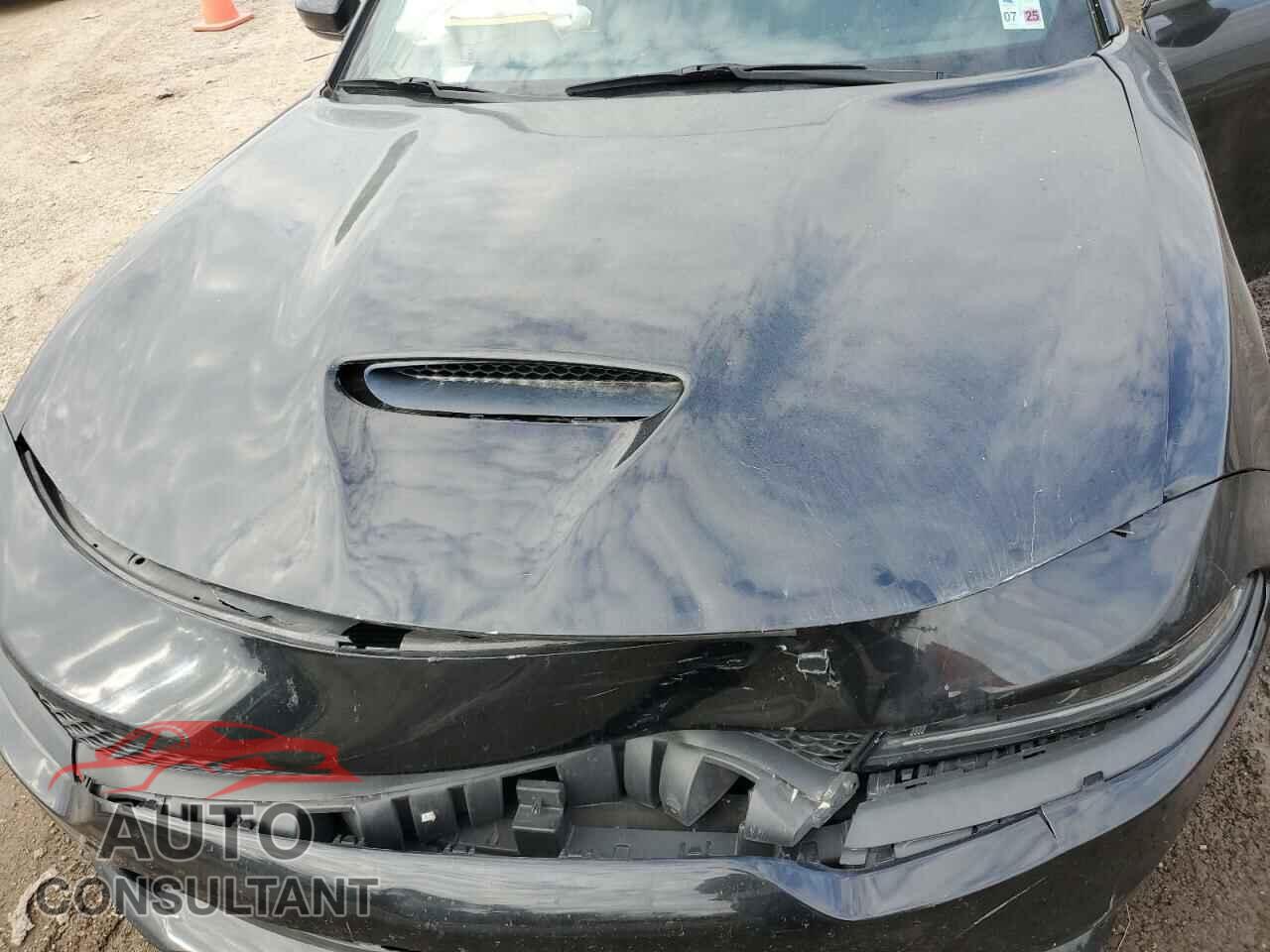 DODGE CHARGER 2019 - 2C3CDXHG8KH584758