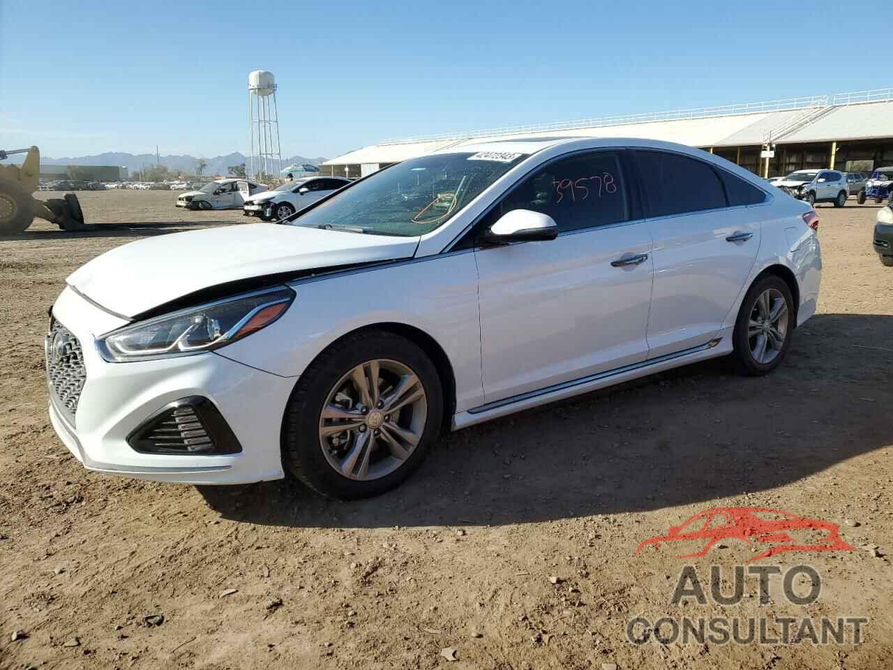 HYUNDAI SONATA 2019 - 5NPE34AF2KH820755