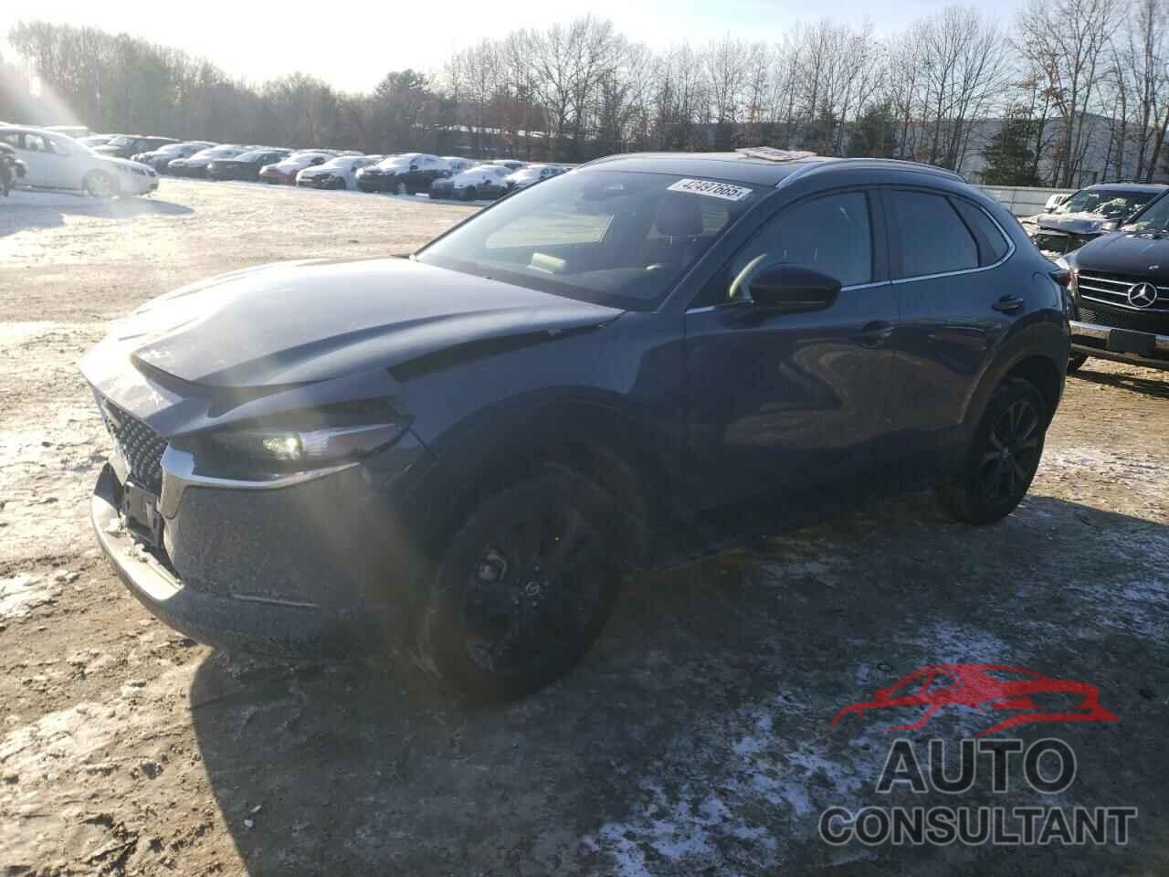 MAZDA CX30 2024 - 3MVDMBCM8RM622693