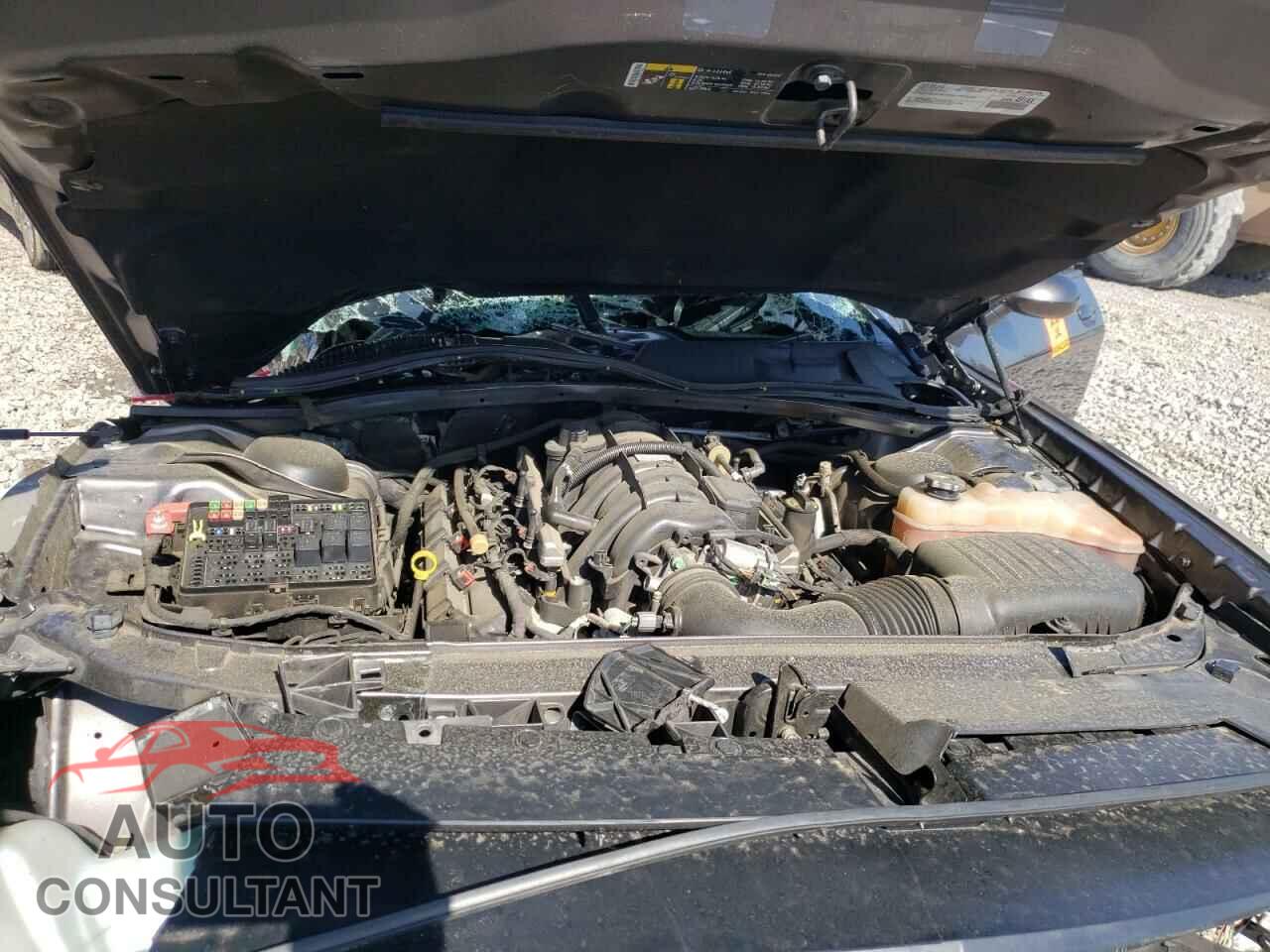 DODGE CHALLENGER 2019 - 2C3CDZBTXKH511943
