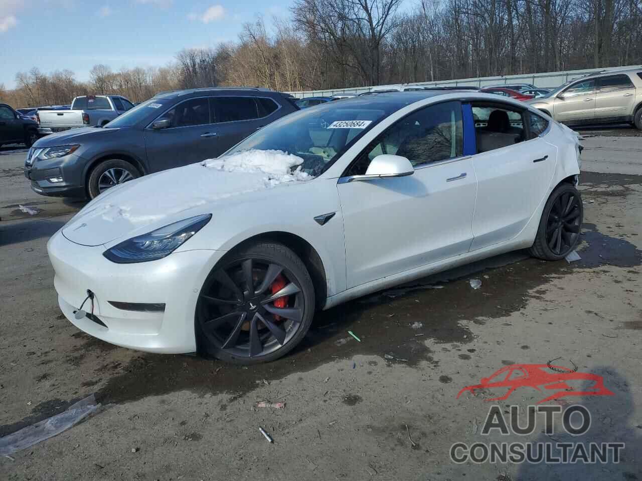 TESLA MODEL 3 2020 - 5YJ3E1EC2LF624265