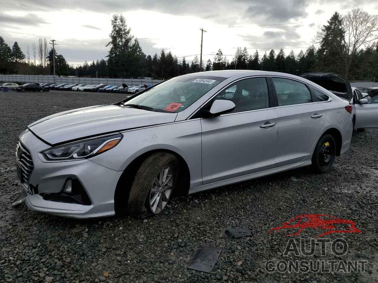 HYUNDAI SONATA 2019 - 5NPE24AF1KH798718