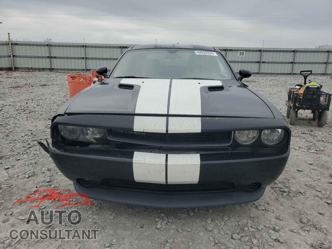 DODGE CHALLENGER 2013 - 2C3CDYAG2DH719221