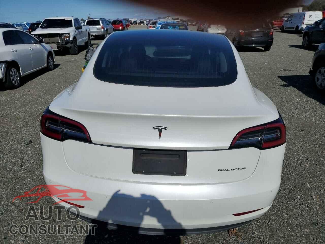 TESLA MODEL 3 2020 - 5YJ3E1EB2LF806636