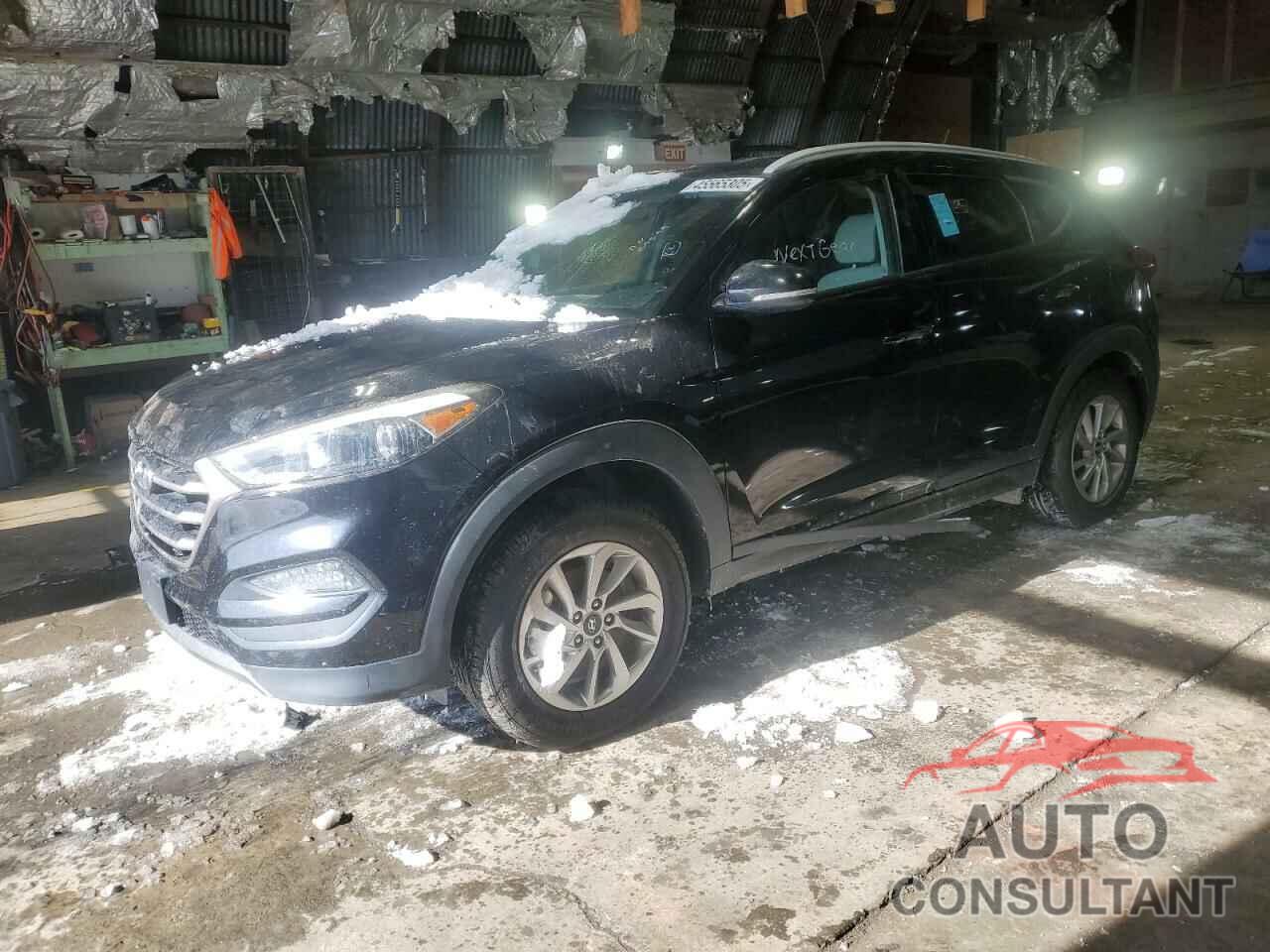 HYUNDAI TUCSON 2016 - KM8J3CA24GU184001