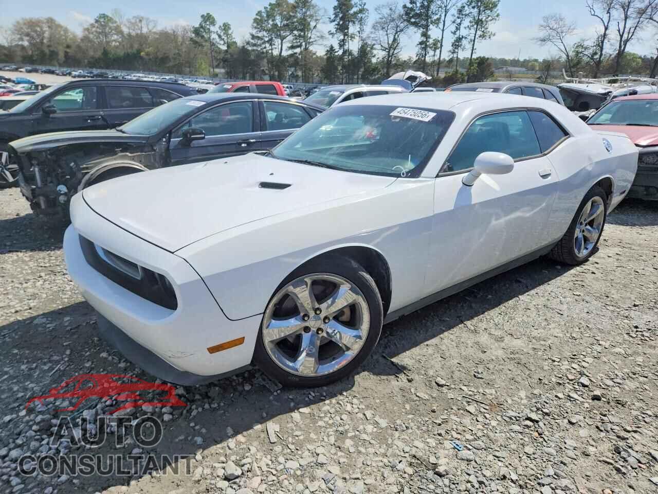 DODGE CHALLENGER 2012 - 2C3CDYBT4CH196102