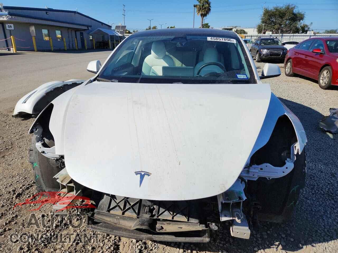 TESLA MODEL 3 2021 - 5YJ3E1EB7MF013334