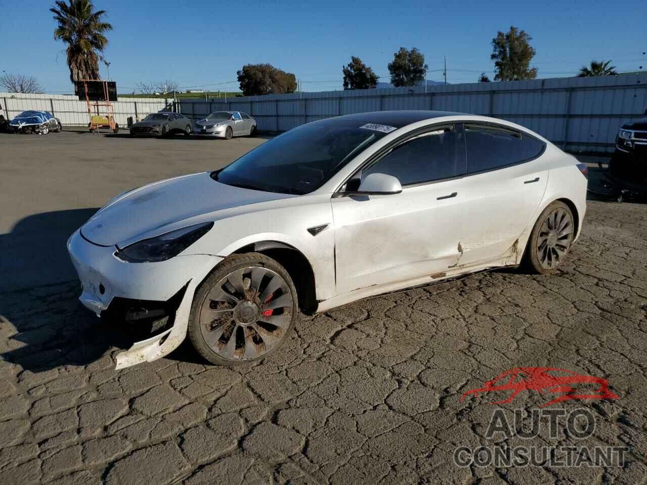 TESLA MODEL 3 2023 - 5YJ3E1EC3PF556807