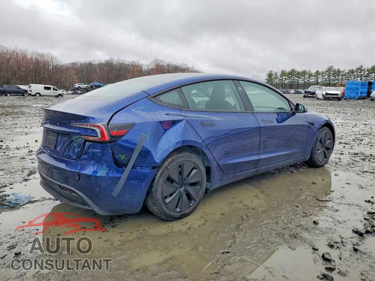 TESLA MODEL 3 2024 - 5YJ3E1EA4RF856342