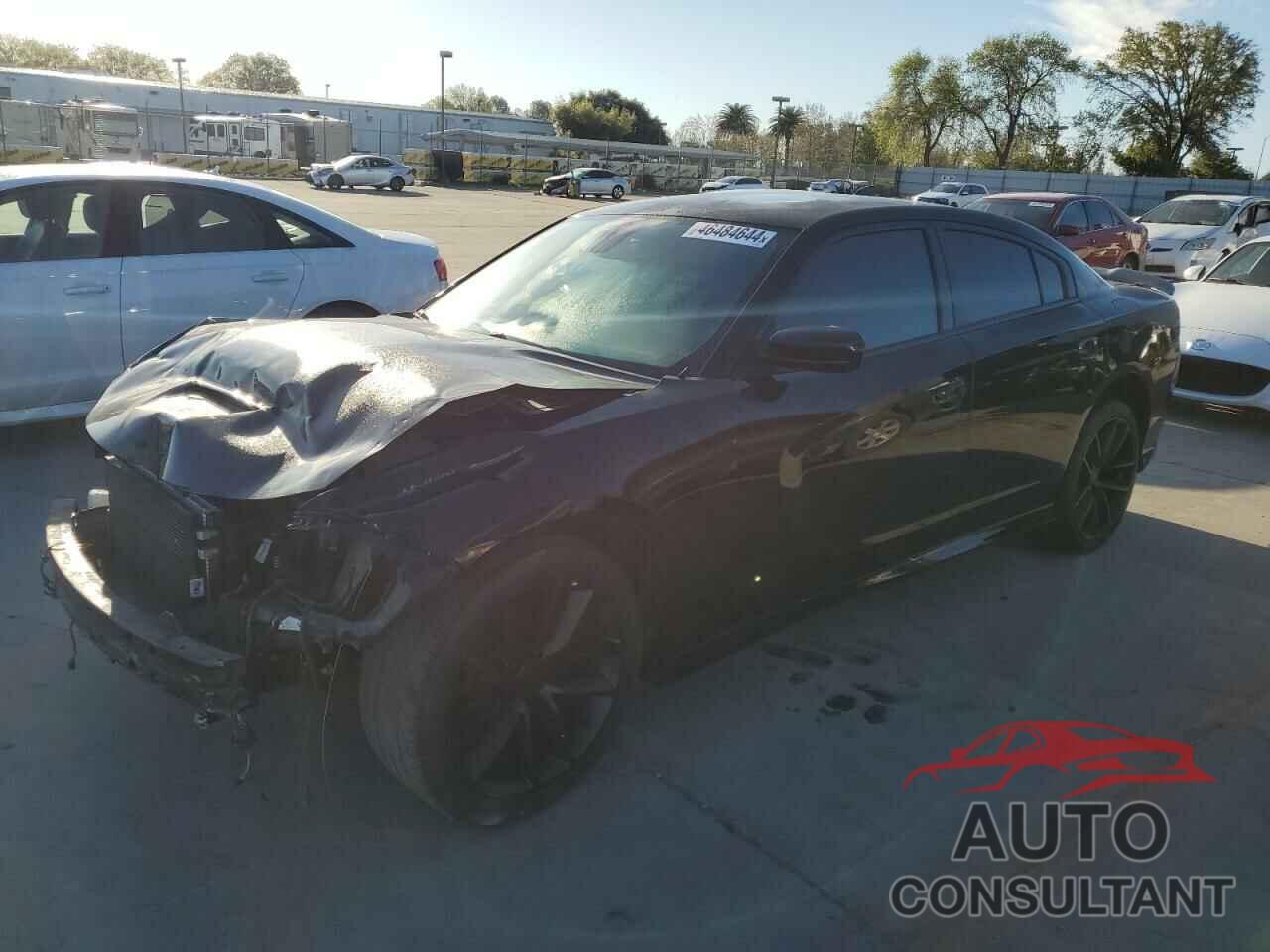 DODGE CHARGER 2019 - 2C3CDXHG7KH545174