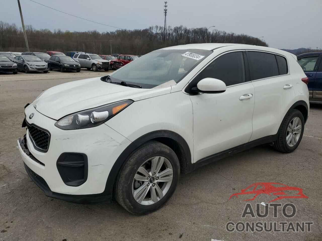 KIA SPORTAGE 2018 - KNDPM3AC9J7445164