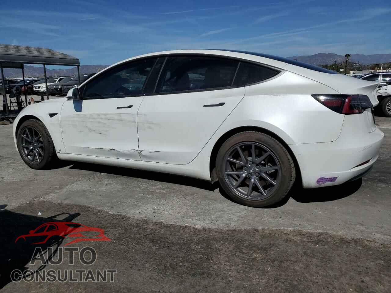 TESLA MODEL 3 2019 - 5YJ3E1EB1KF433510