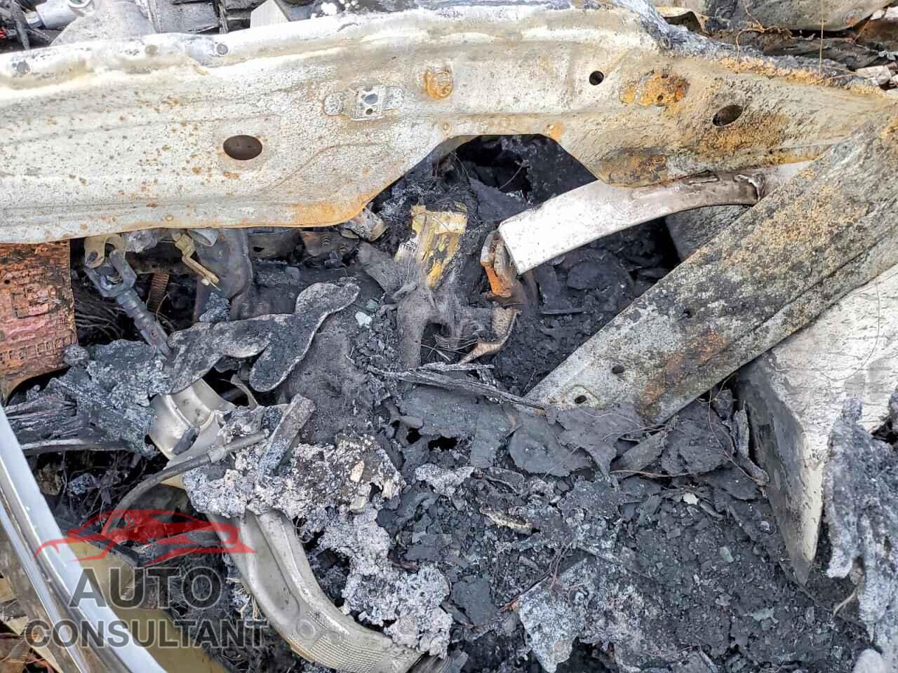 TESLA MODEL 3 2020 - 5YJ3E1EB0LF616768