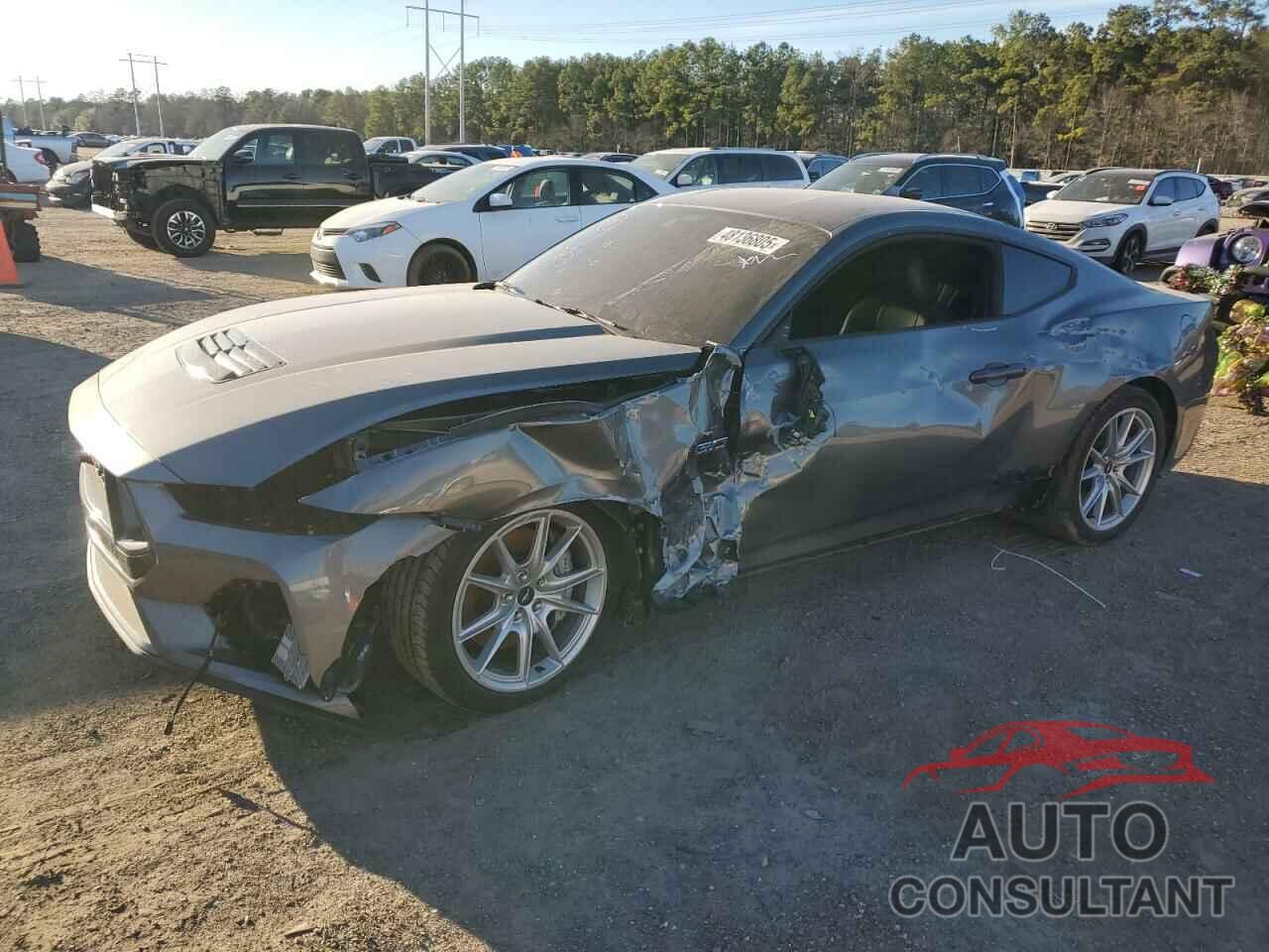 FORD MUSTANG 2024 - 1FA6P8CF8R5400494