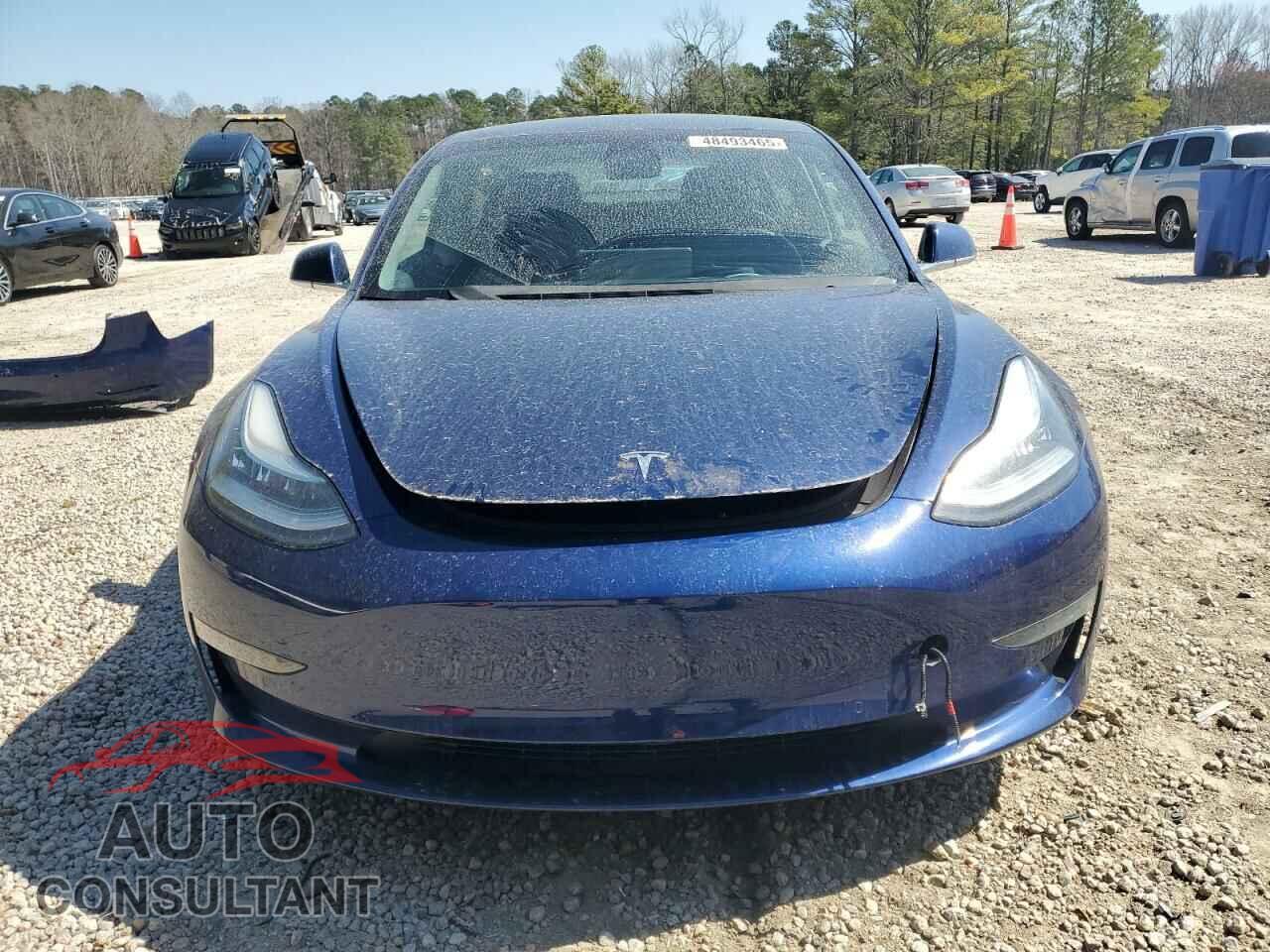 TESLA MODEL 3 2019 - 5YJ3E1EA6KF309031
