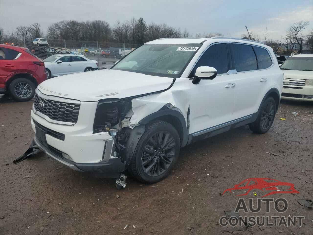KIA TELLURIDE 2021 - 5XYP54HC8MG158219