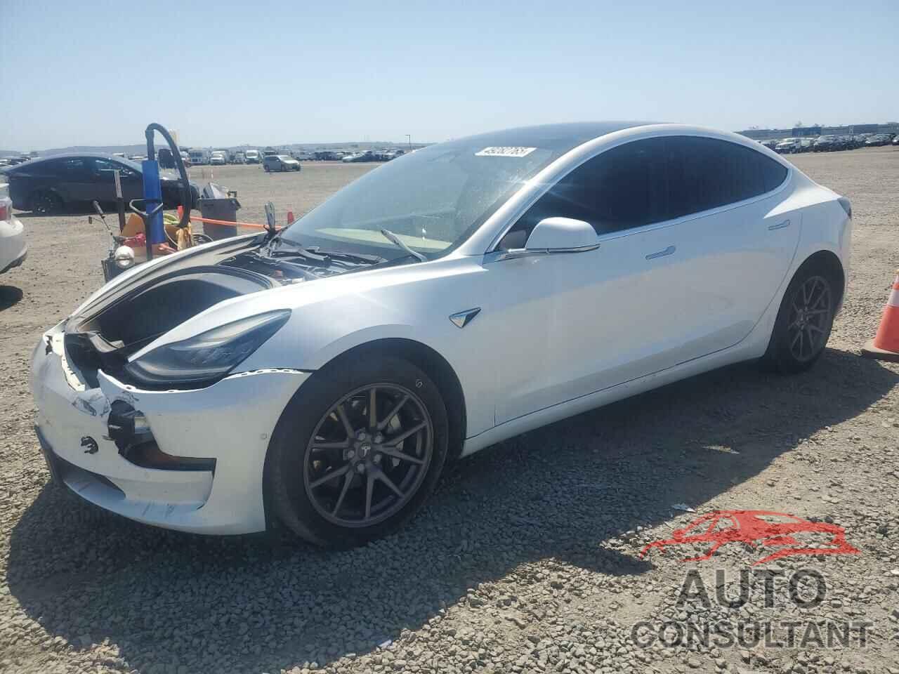 TESLA MODEL 3 2019 - 5YJ3E1EA3KF345033