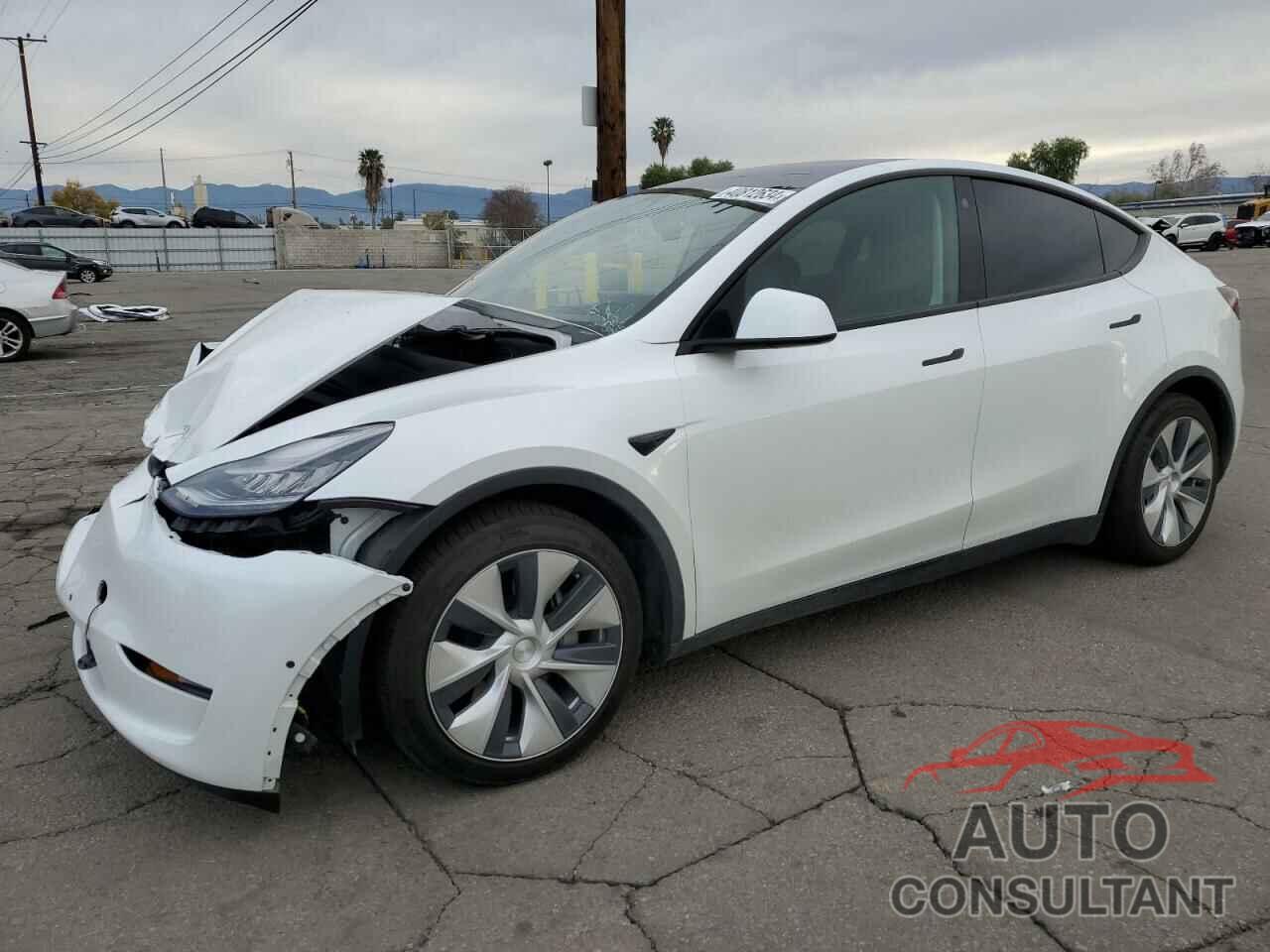 TESLA MODEL Y 2021 - 5YJYGDEE0MF077565