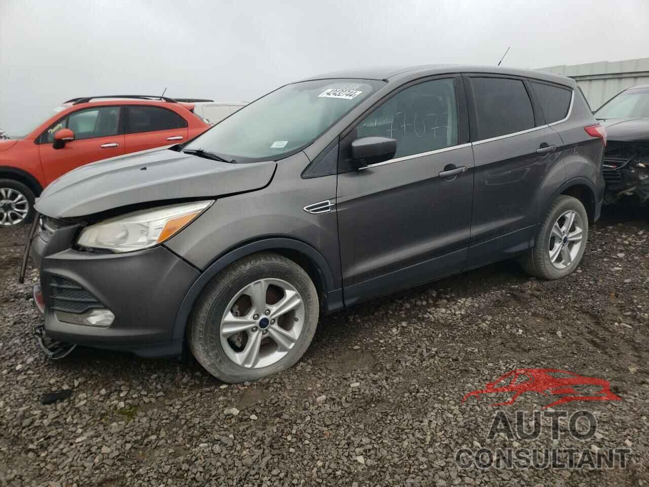 FORD ESCAPE 2014 - 1FMCU0GXXEUB61455