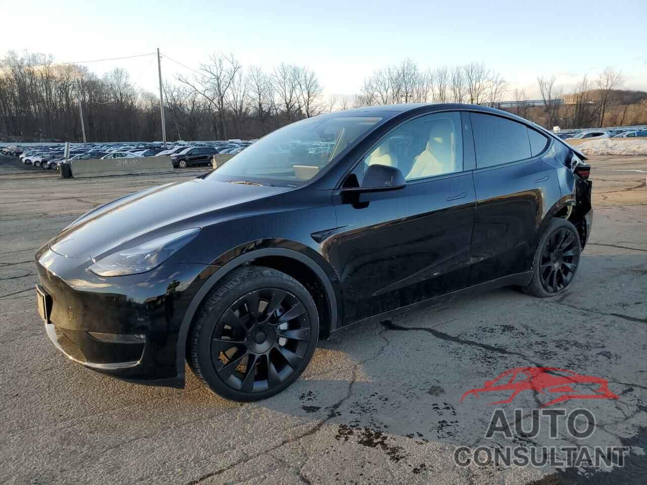 TESLA MODEL Y 2024 - 7SAYGDEEXRA271821