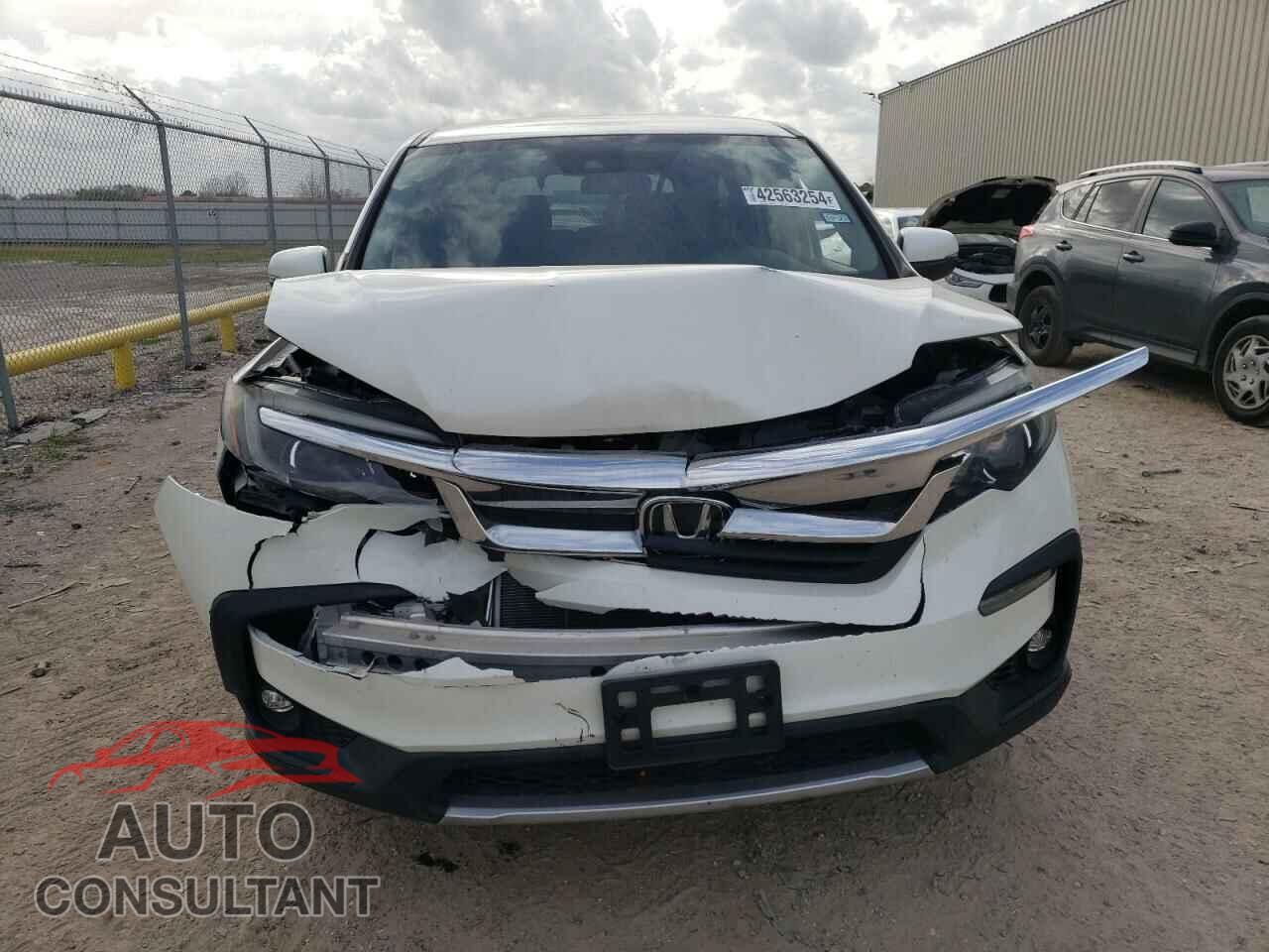 HONDA PILOT 2019 - 5FNYF5H31KB031341