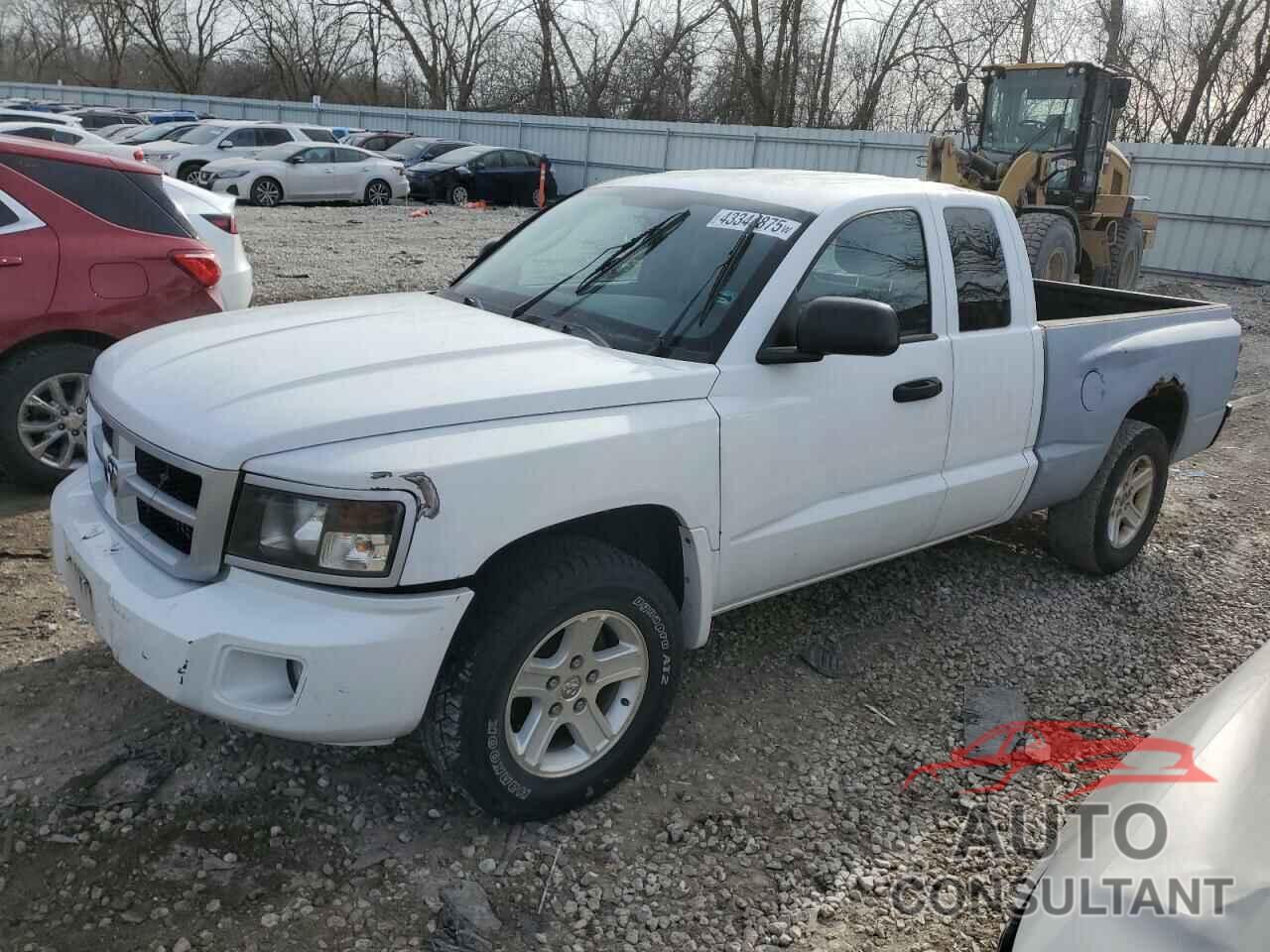 DODGE DAKOTA 2011 - 1D7RW3BK6BS687651