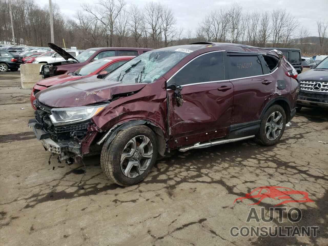 HONDA CRV 2019 - 2HKRW2H55KH613805