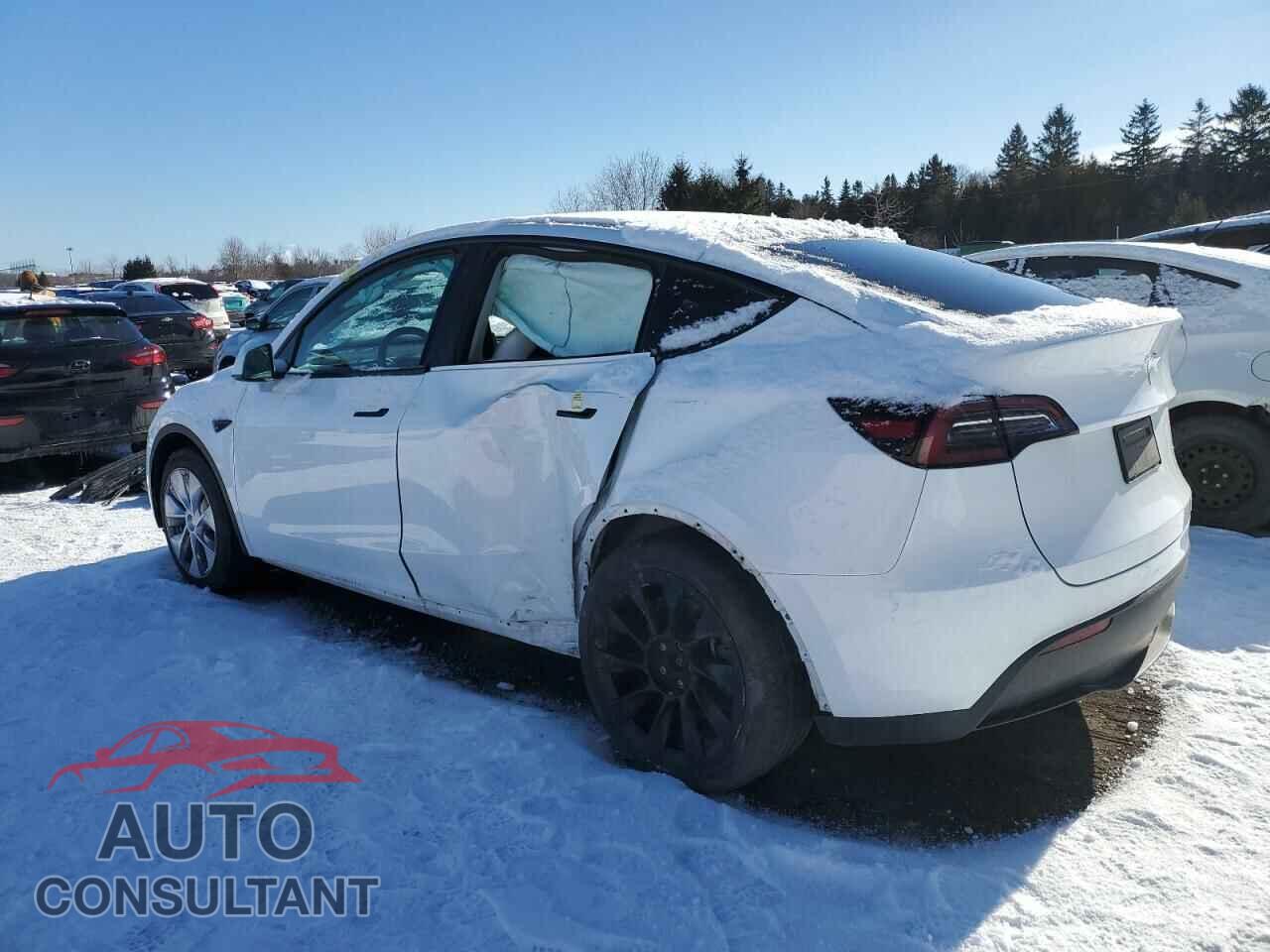 TESLA MODEL Y 2023 - LRWYGDFD2PC939804