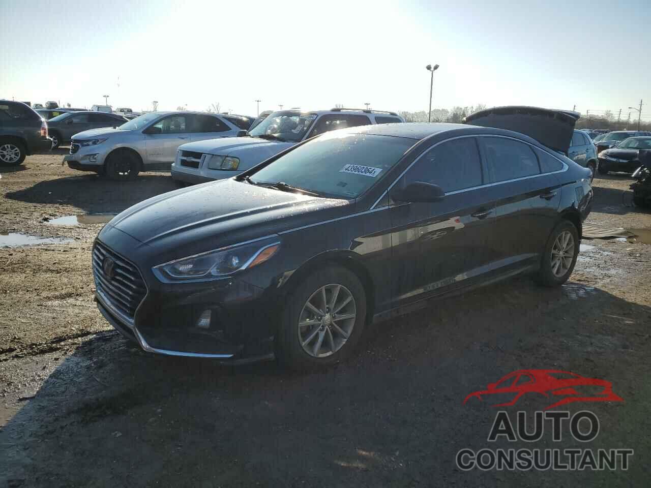 HYUNDAI SONATA 2018 - 5NPE24AF5JH702894