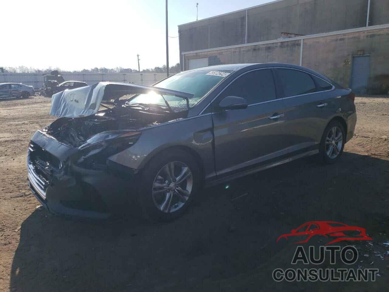 HYUNDAI SONATA 2019 - 5NPE34AFXKH737977