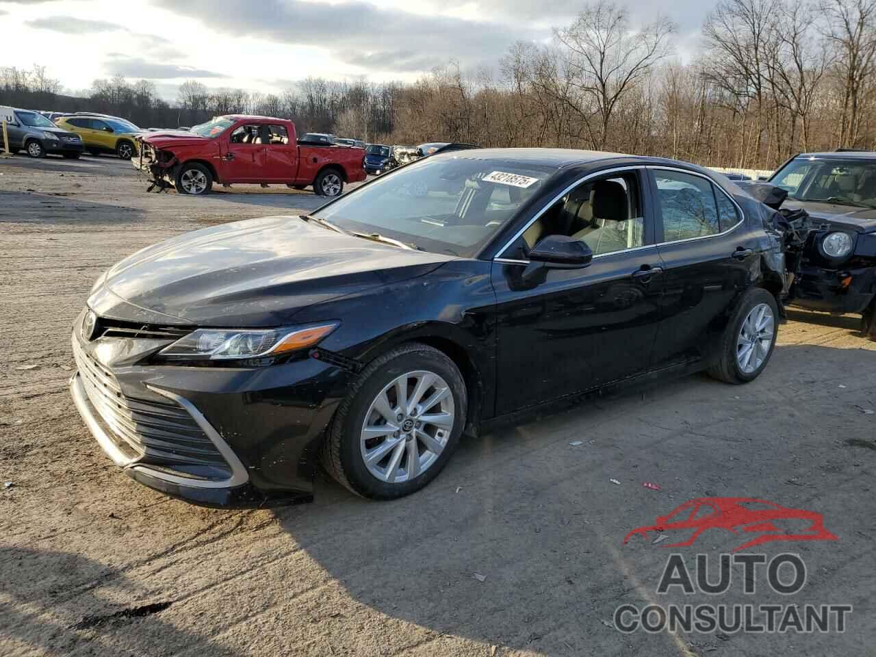 TOYOTA CAMRY 2023 - 4T1C11AK4PU171686