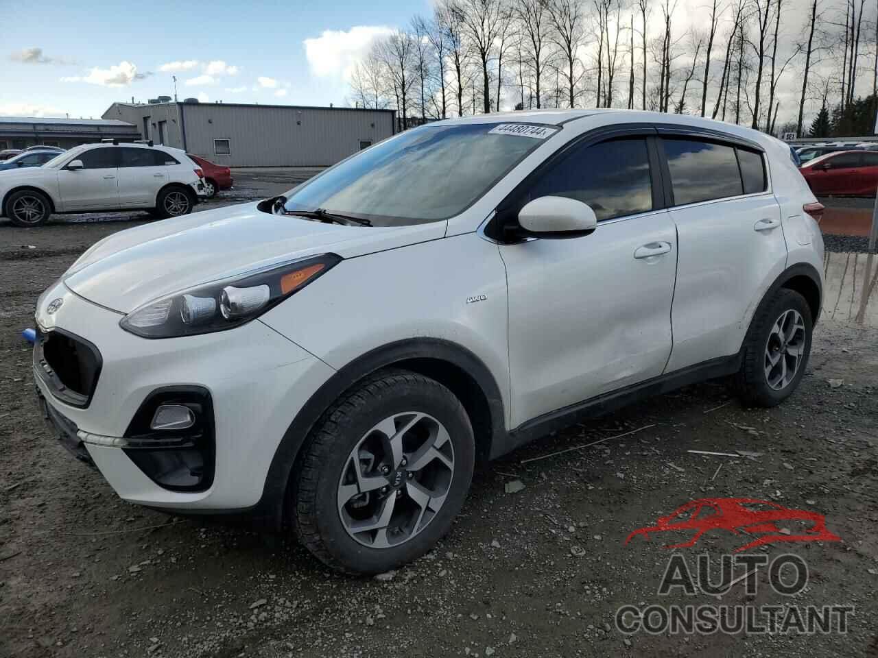 KIA SPORTAGE 2021 - KNDPMCAC3M7920618