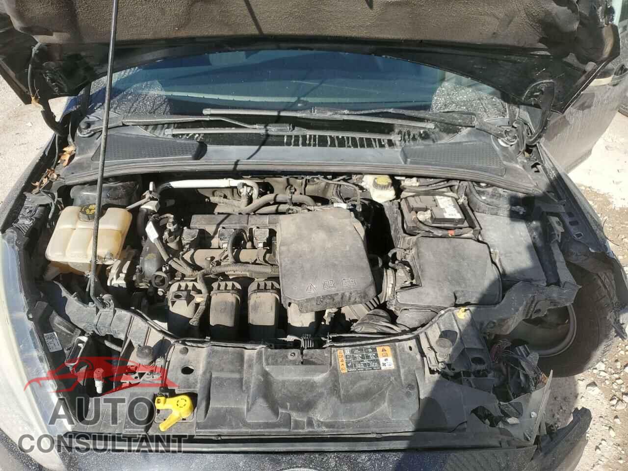 FORD FOCUS 2017 - 1FADP3F23HL244832