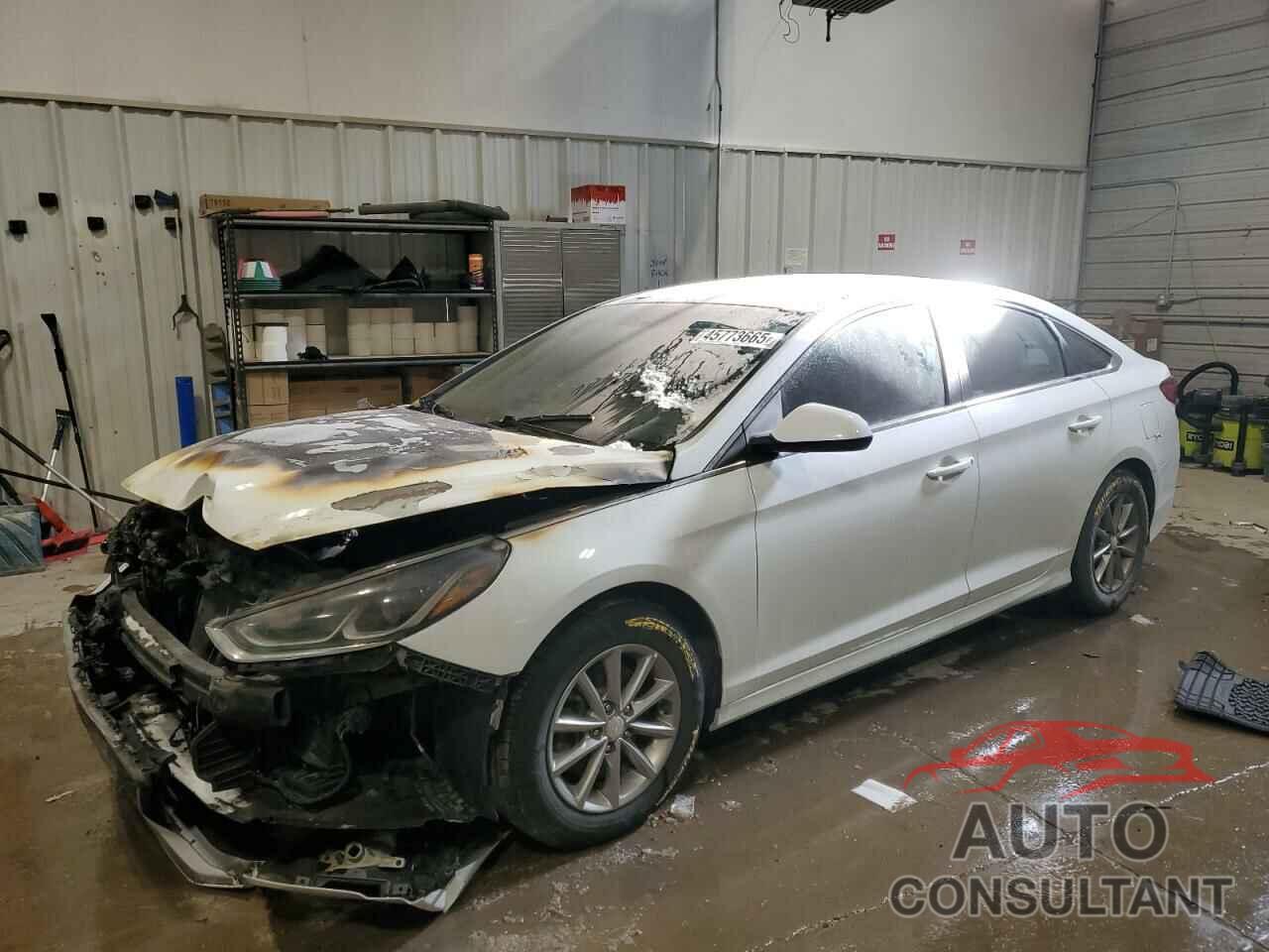 HYUNDAI SONATA 2018 - 5NPE24AF8JH613594