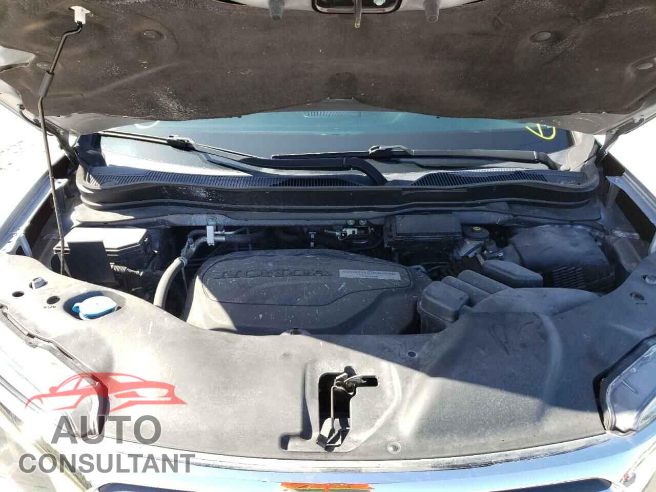 HONDA RIDGELINE 2019 - 5FPYK3F77KB024794