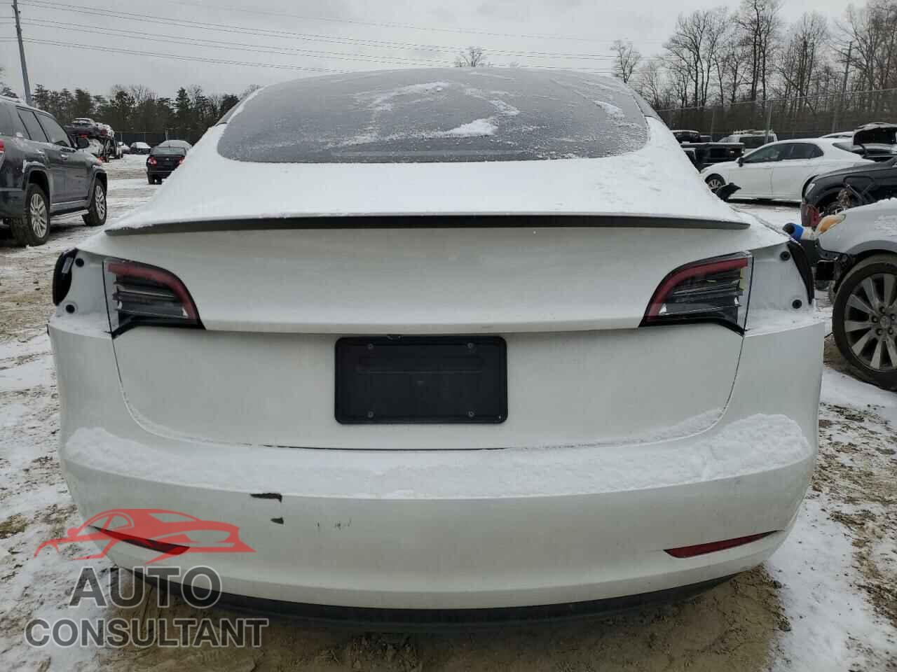 TESLA MODEL 3 2023 - 5YJ3E1EC1PF609990