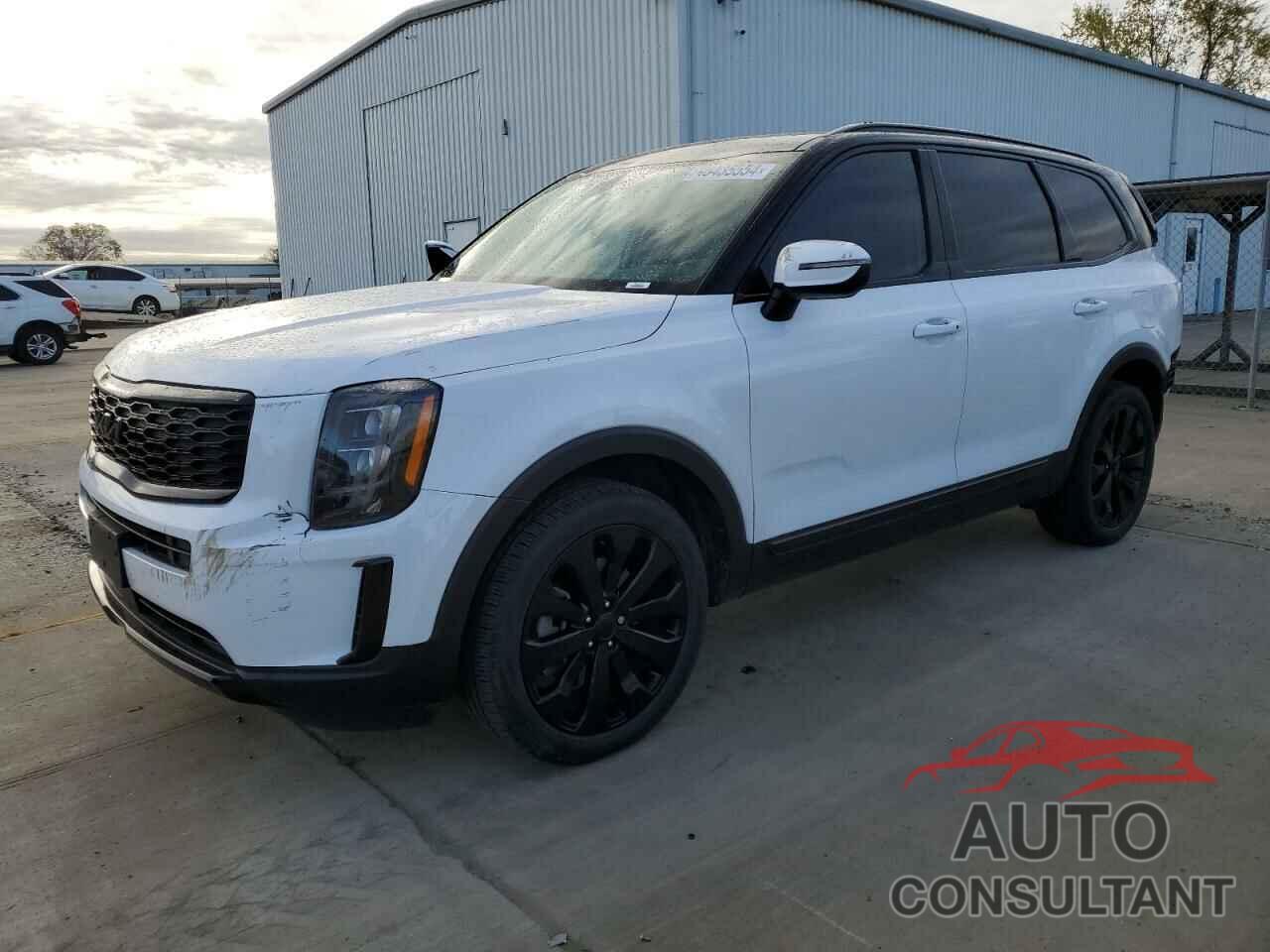 KIA TELLURIDE 2022 - 5XYP34HC3NG225297