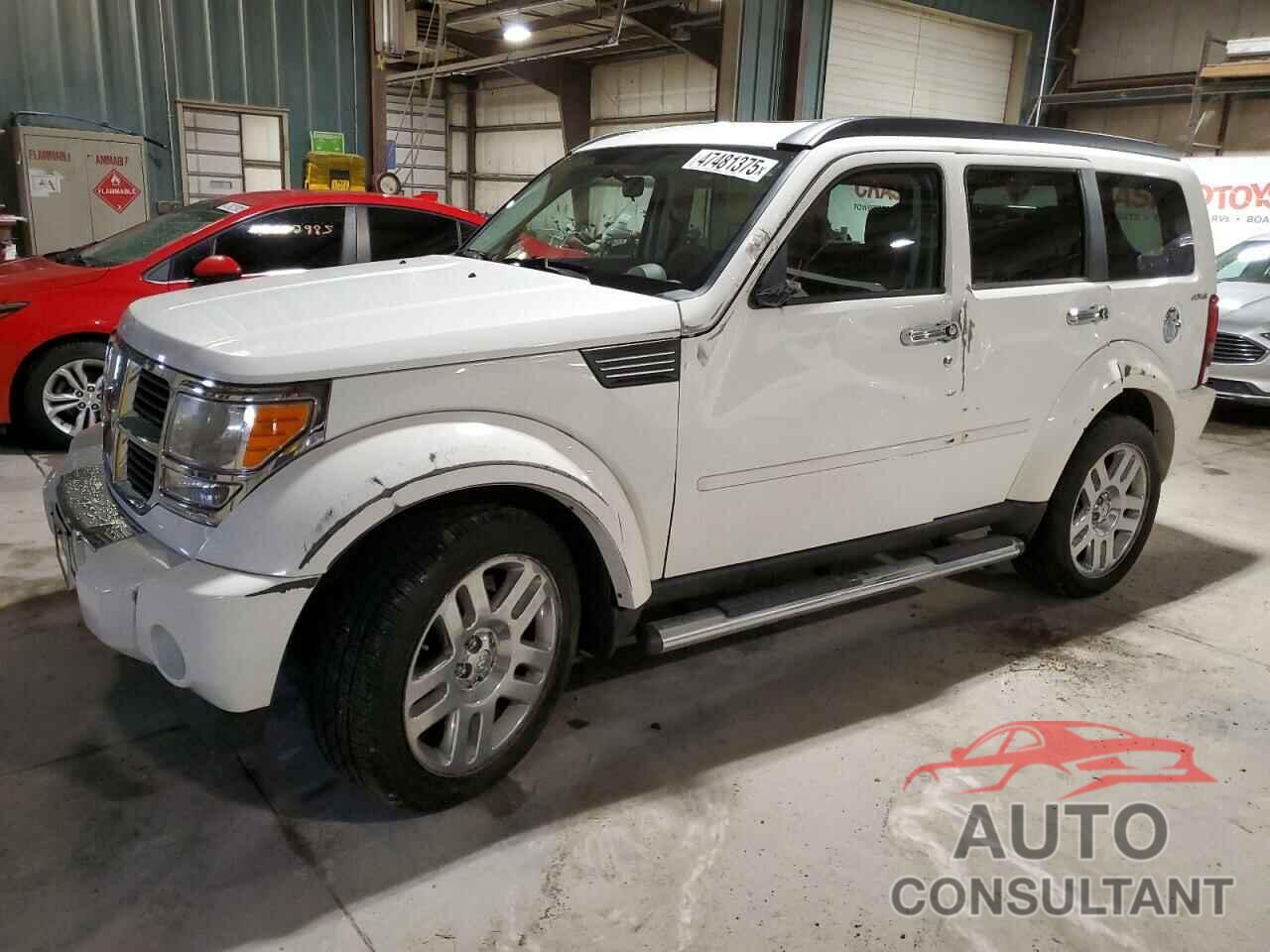 DODGE NITRO 2010 - 1D4PU2GK2AW144995