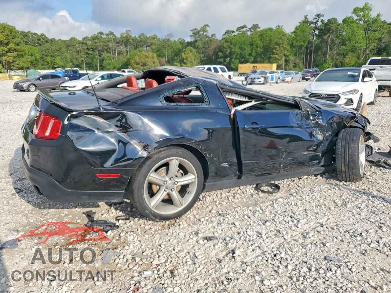 FORD MUSTANG 2011 - 1ZVBP8CF3B5169760