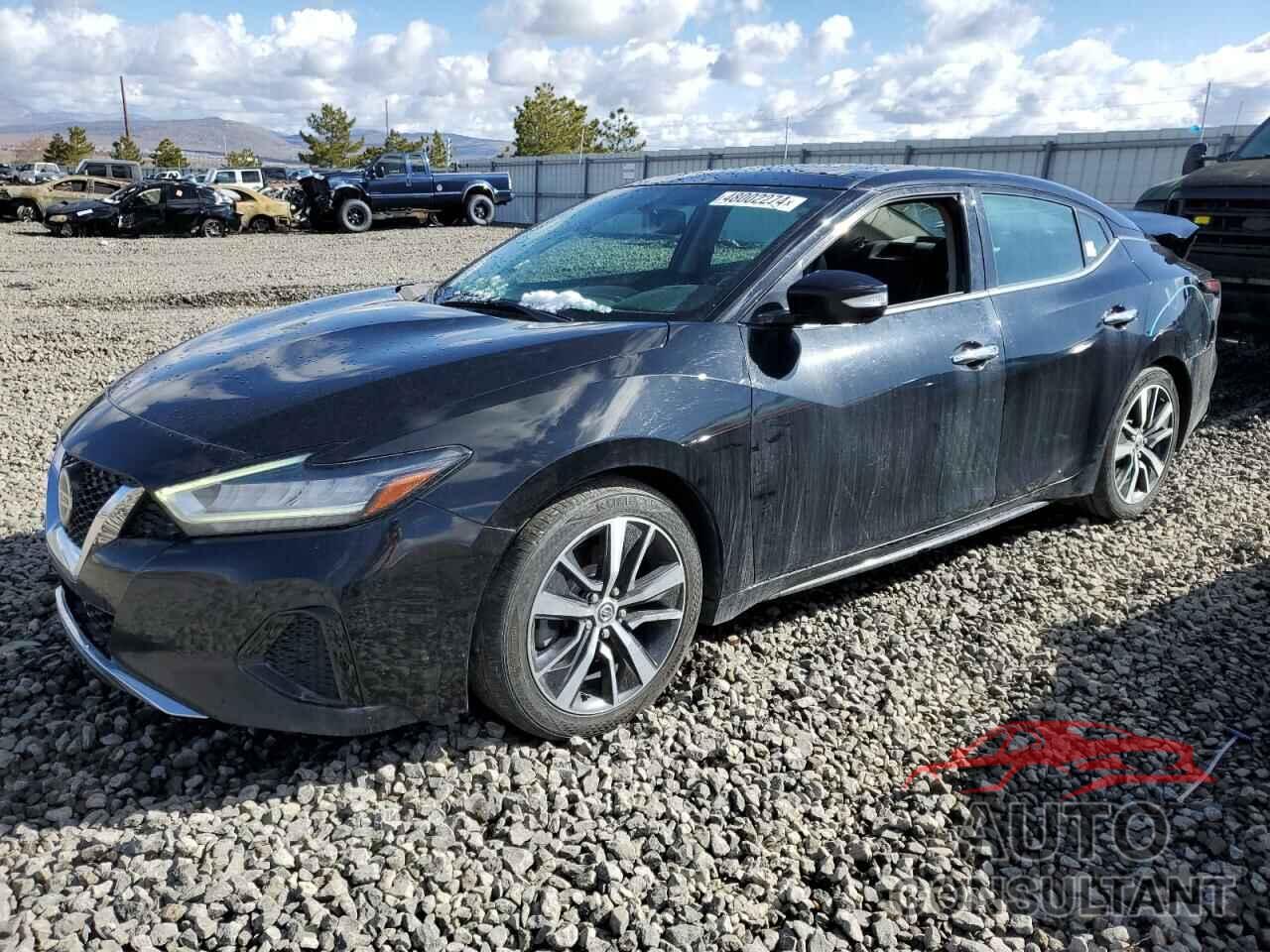 NISSAN MAXIMA 2019 - 1N4AA6AV3KC372034