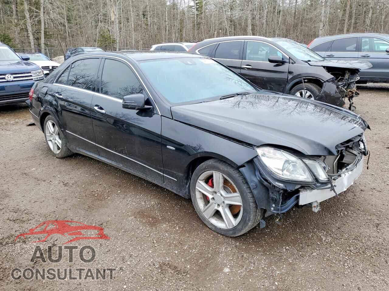MERCEDES-BENZ E-CLASS 2012 - WDDHF82B2CA625244