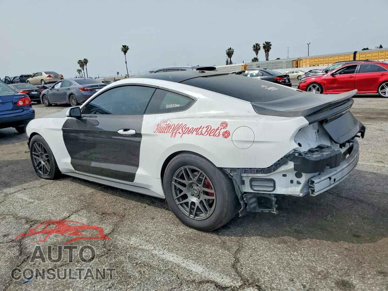 FORD MUSTANG 2019 - 1FA6P8CF5K5120800